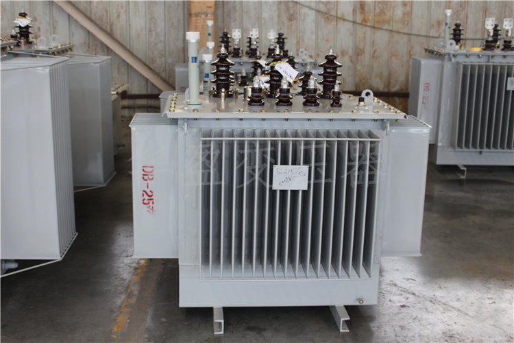 沈阳S20-800kVA/10kV/0.4kV变压器